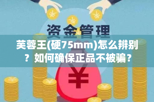 芙蓉王(硬75mm)怎么辨别？如何确保正品不被骗？
